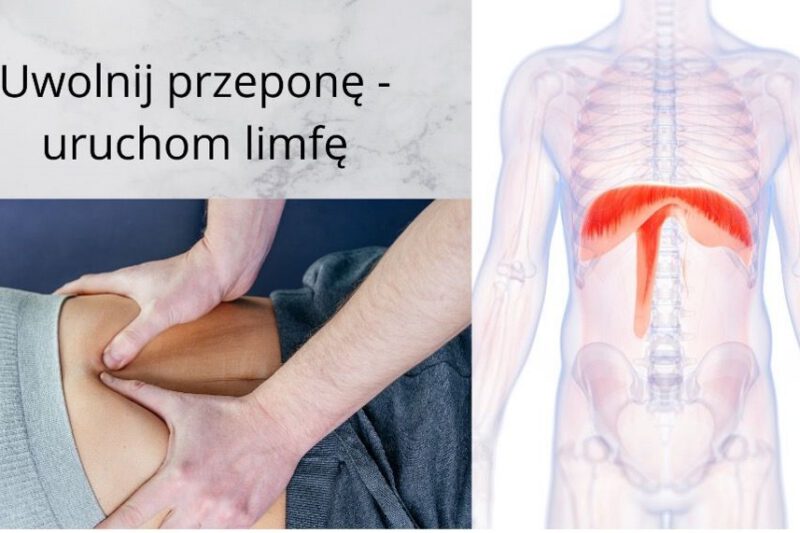 Przepona niezwykły mięsień
