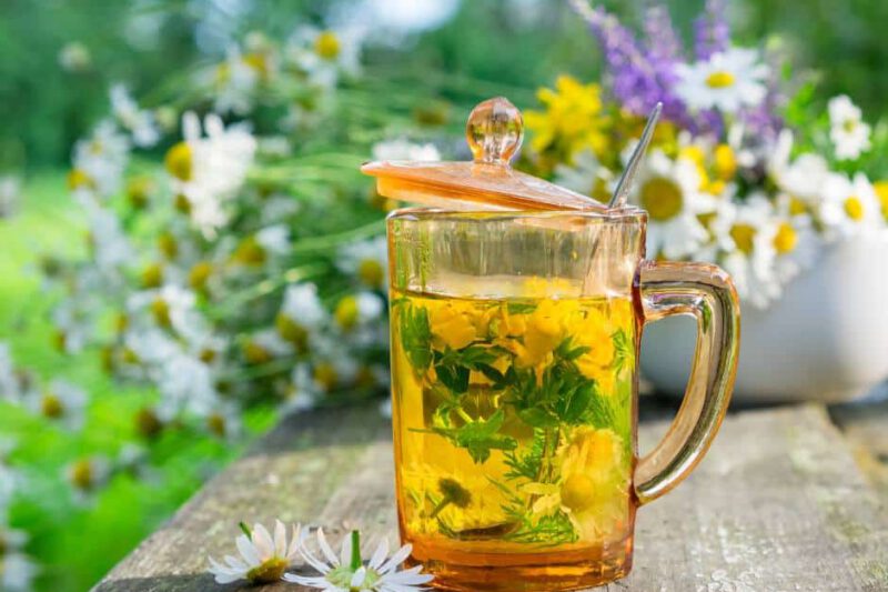 Fitoterapia w zaburzeniach metabolicznych